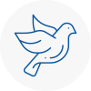 Bird Prevention Melksham
