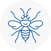 Melksham Hornet Nest Removals