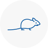 Mice Exterminators In Melksham