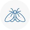 Moth Control Specialists In Melksham