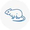 Rat Control Melksham