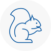 Melksham Rodent Removals