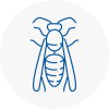 Melksham Wasp Nest Removal